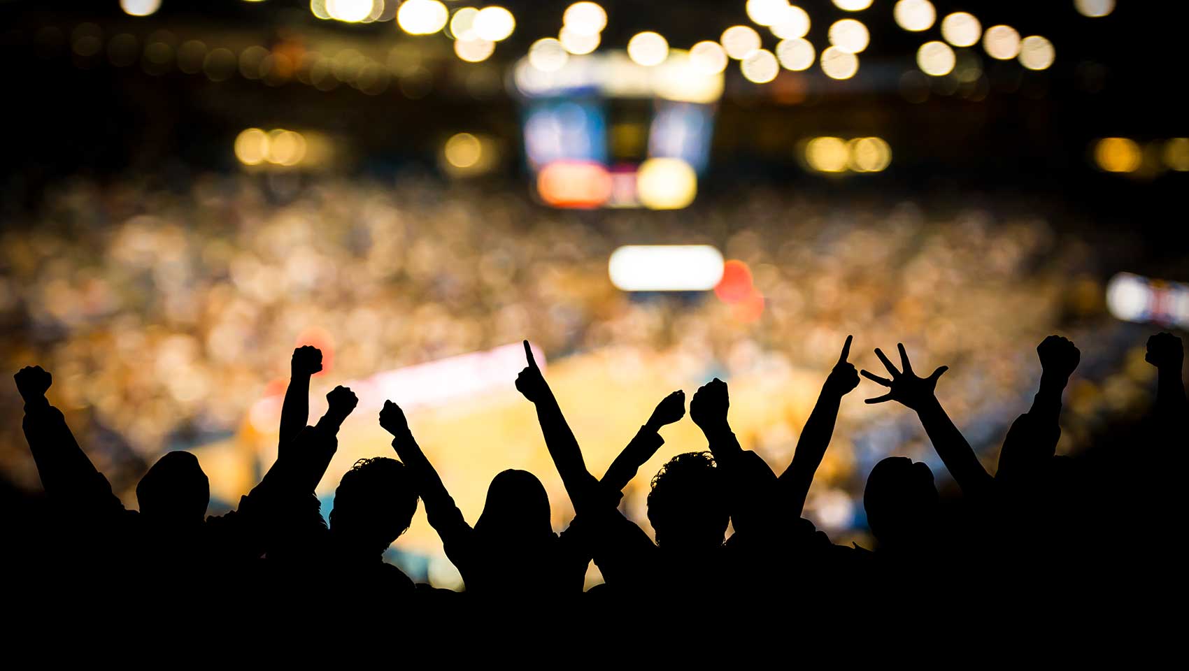 fans cheering at a basketball game